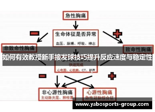 如何有效教授新手接发球技巧提升反应速度与稳定性